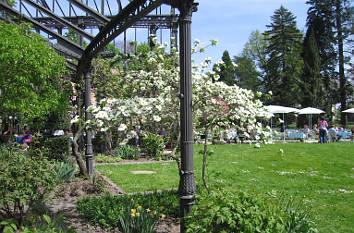Botanischer Garten Karlsruhe
