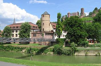 Wertheim Wertheim