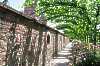 Ranken und Blumenpracht auf der Stadtmauer Ranken und Blumenpracht auf der Stadtmauer