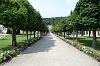 Hauptachse Kurpark Hauptachse Kurpark