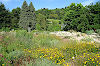 Botanischer Garten Botanischer Garten
