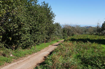 Wanderweg auf Gran Canaria
