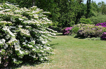 Rhododendronpark Bremen
