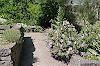 Botanischer Garten Botanischer Garten