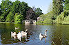 Schlossgarten Schlossgarten