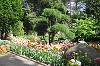 Japanischer Garten Japanischer Garten