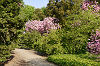 Forstbotanischer Garten Forstbotanischer Garten