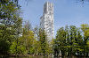MediaPark und KölnTower MediaPark und KölnTower