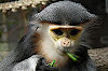 Kölner Zoo Kölner Zoo