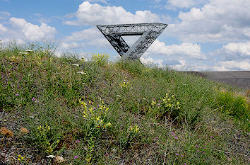 Saarpolygon