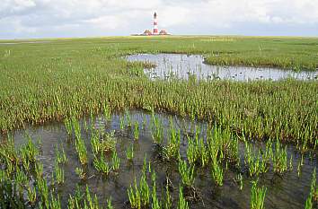 Wattenmeer am Leuchtturm Westerhever