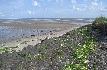 Wattenmeer auf Sylt