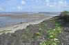 Wattenmeer Wattenmeer