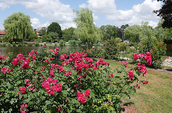 Rosarium Uetersen