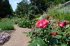 Botanischer Erlebnisgarten Botanischer Erlebnisgarten