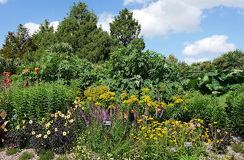 Blumengarten Botanischer Garten Auckland